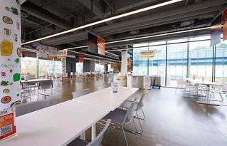 揭秘互聯(lián)網(wǎng)巨頭食堂 從京東美食城到網(wǎng)易豬廠，不止是員工福利